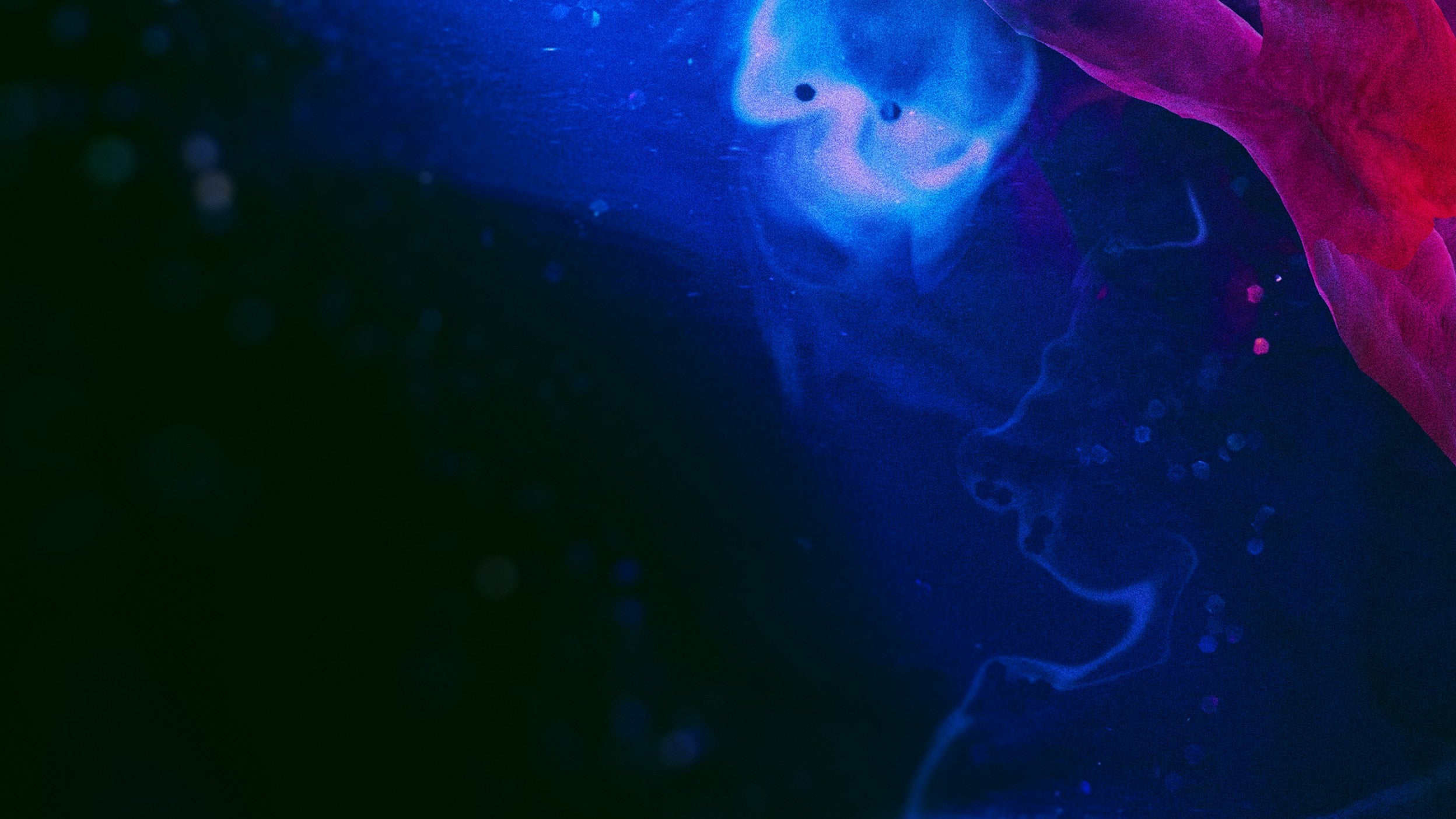 Aura Premium Wallpaper - Colorful Digital Art (2.2K HD+)